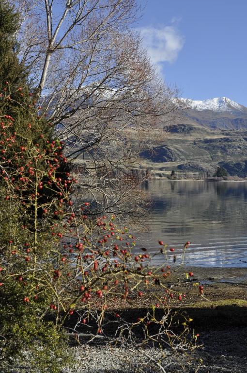 Lansdown Villa Apartments Wanaka Eksteriør billede